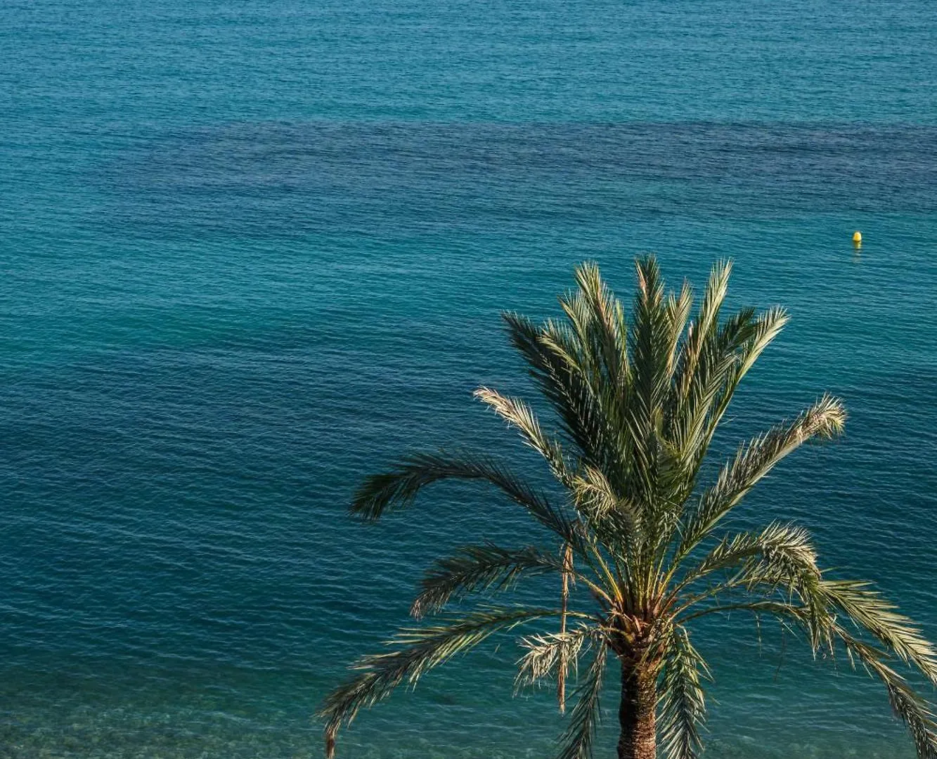 Rives D'Or, Superbe 2P Traversant, Vue Imprenable Sur La Mer 罗克布吕讷-卡普马丹 公寓